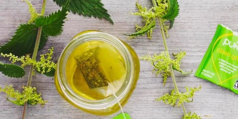 آیا گیاهان دارویی برای کاهش استرس و اضطراب مفید هستند؟