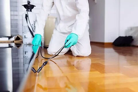 اصول سم پاشی منزل تهران