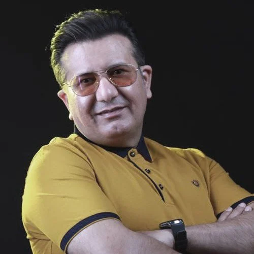 برزین از کار آفرینی تا خوانندگی