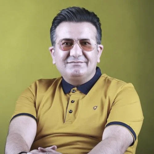 برزین از کار آفرینی تا خوانندگی