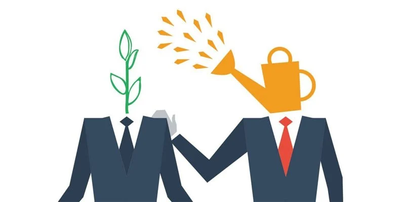 مسعود صیادی، بیزنس کوچ و منتور کوچ املاک