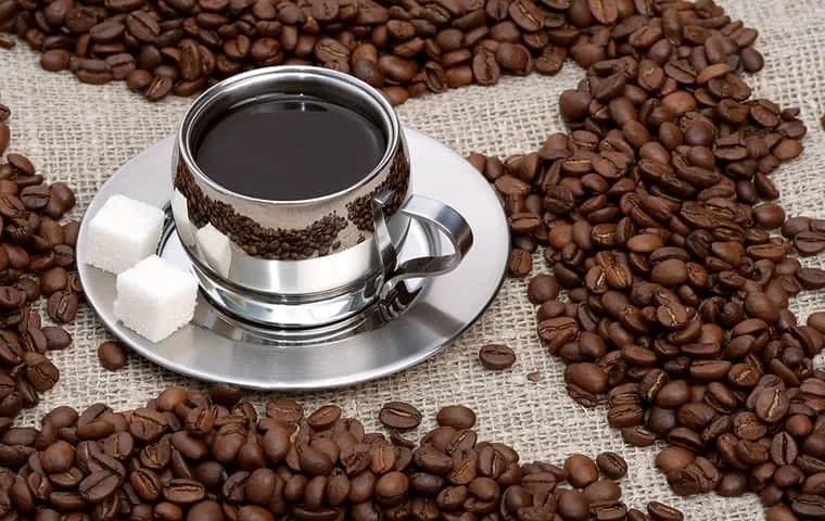 آیا قهوه برای کبد چرب ضرر دارد