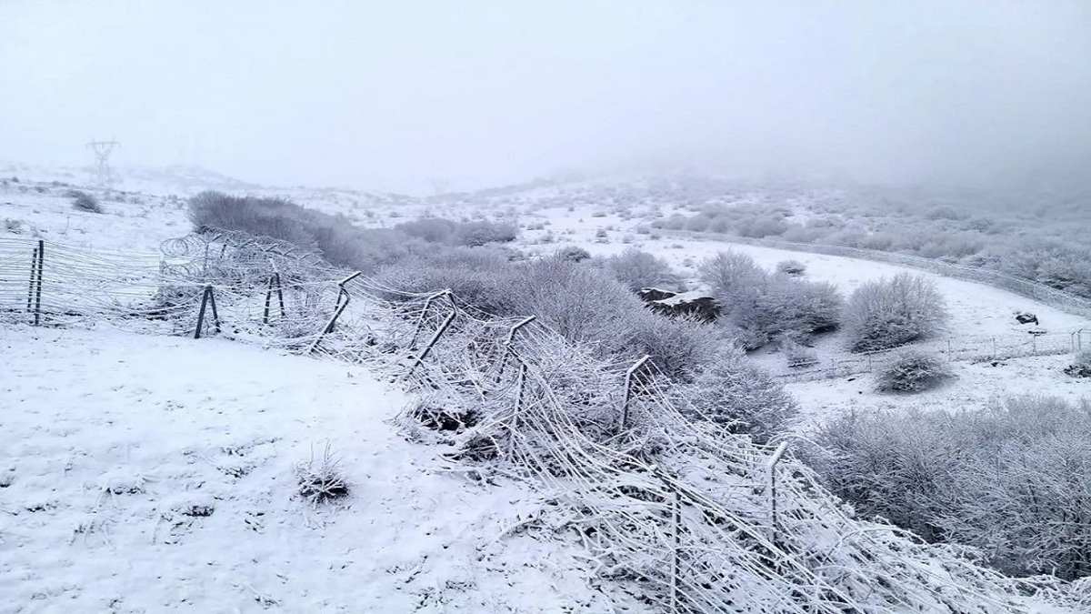 برف در تهران دردسرساز شد