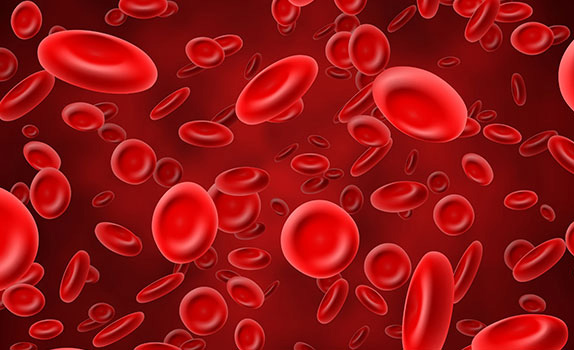 ازمایش خون |هموگلوبین