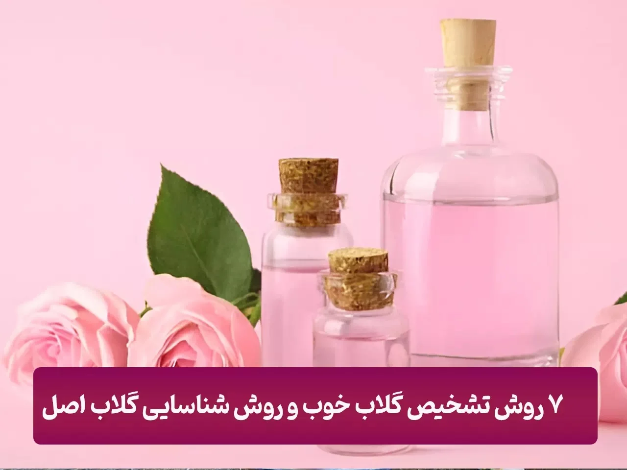 7 روش تشخیص گلاب خوب و روش شناسایی گلاب های اصل