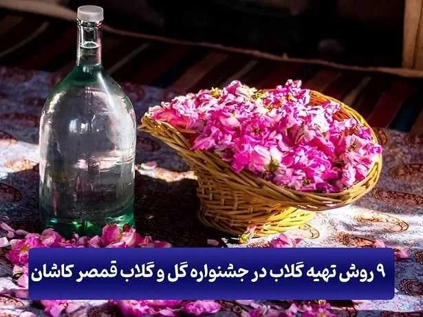 در جشنواره گل و گلاب قمصر کاشان 9 روش تهیه گلاب را ببینید