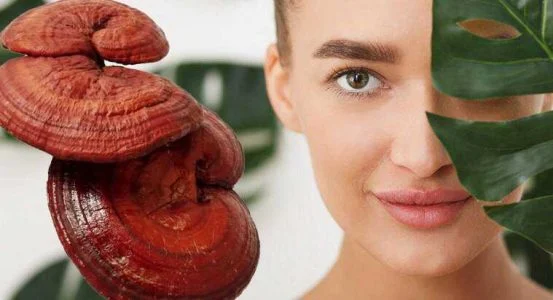 قارچ گانودرما و تأثیر آن بر لک صورت + نقش قهوه گانودرما در سلامت پوست