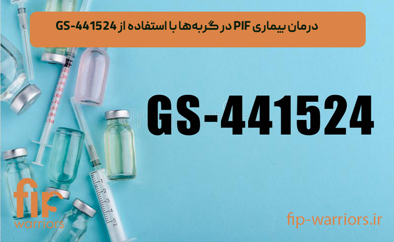درمان FIP (اف آی پی) گربه ها: آیا امکان پذیر است؟