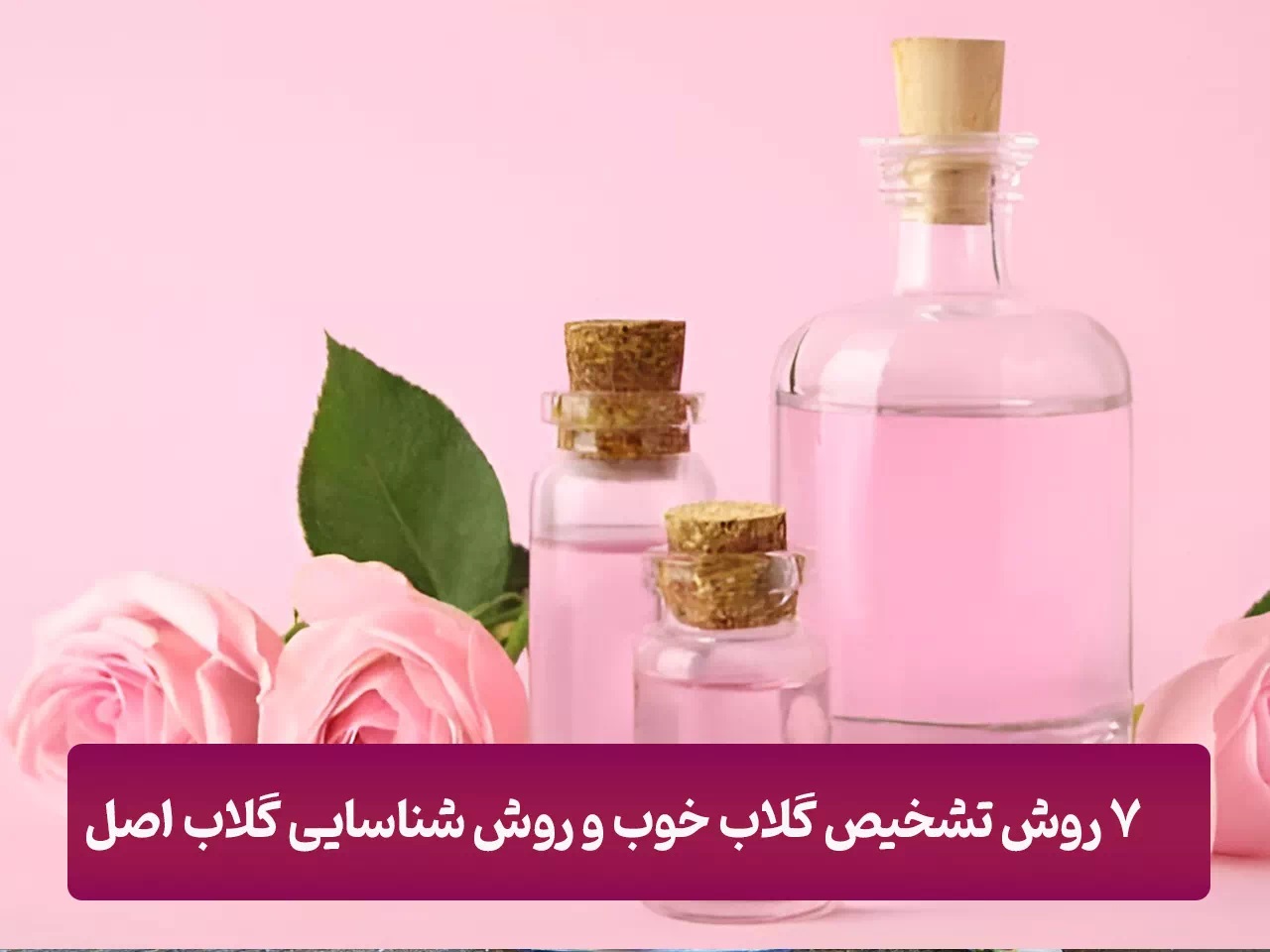 7 روش تشخیص گلاب خوب و روش شناسایی گلاب های اصل